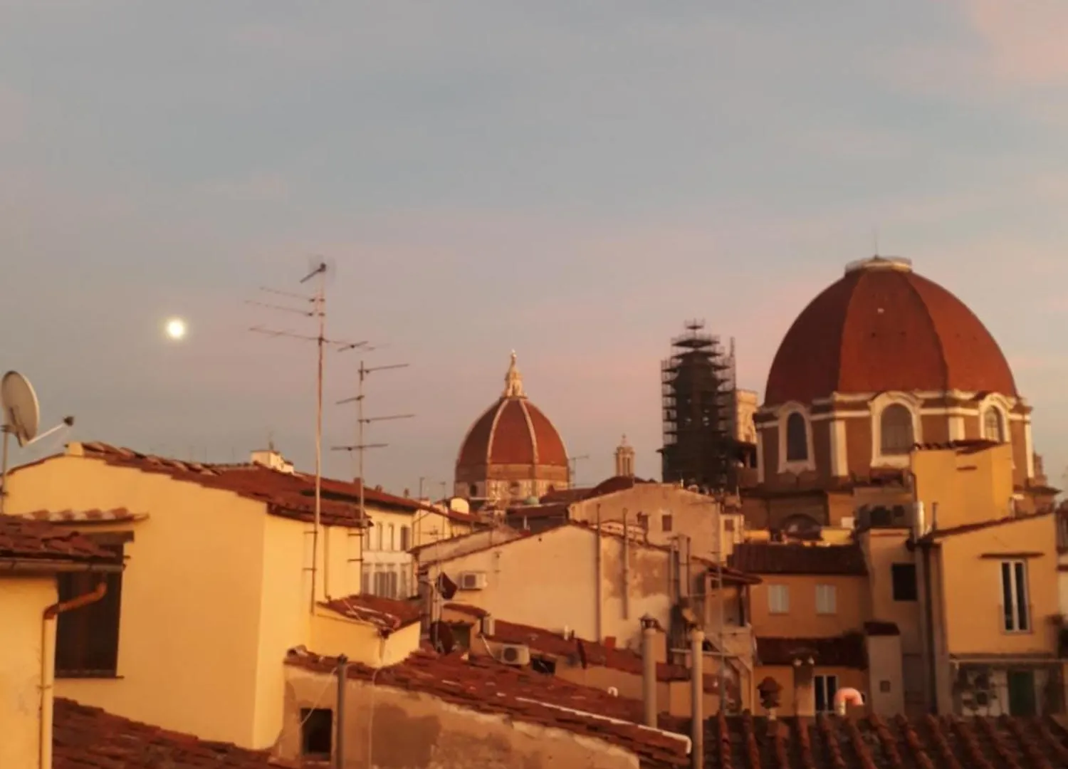 Guest house The Florence Dream Terrace - Giulia Rose