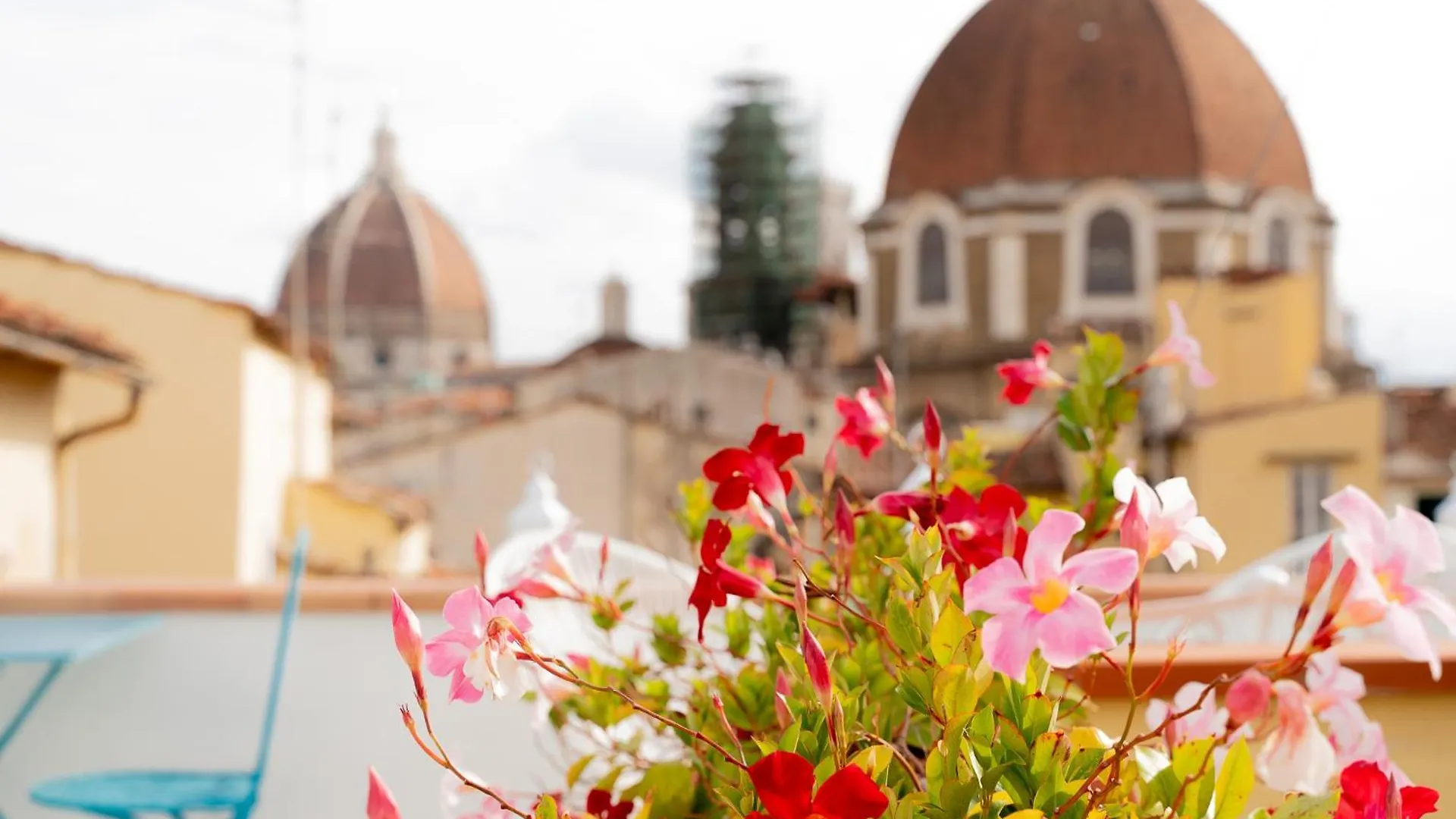 Guest house The Florence Dream Terrace - Giulia Rose Italy